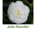 Julia Hamiter