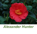 Alexander Hunter