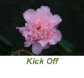 Kick Off