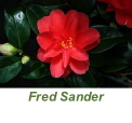 Fred Sander