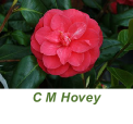 C M Hovey
