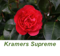 Kramers Supreme