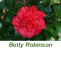 Betty Robinson